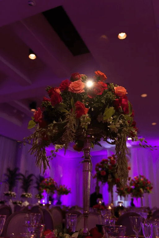 Decor Lighting 24
